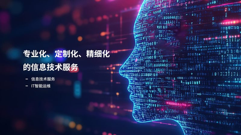 小标题：运维外包的必要性